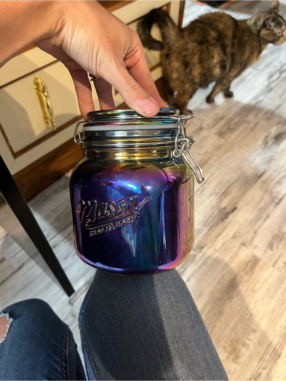 Mason Iridescent Multicolor Glass Storage Jar